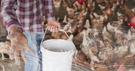 Holding worker reaching toward hens in coop, carrying white bucket, plaid shirt, jeans, copy space....