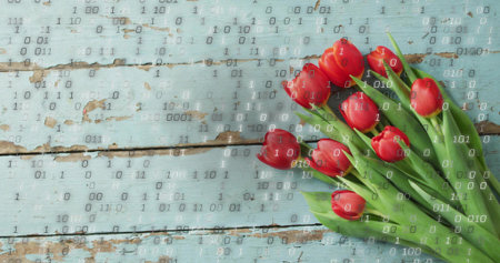 Resting bouquet of red tulips with green stems on pale turquoise planks, binary overlay, copy space. Flatlay, stilllife, flowers, rustic, weathered, woodgrain, vintageの写真素材