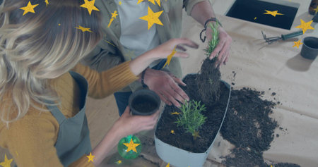 Repotting two women in aprons placing plant root ball into white planter at kitchen counter. Collaboration, gardening, greenery, soil, potting, trowel, homeの写真素材