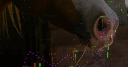 Showing close horse muzzle with nostril whisker halter and market chart overlay in barn, copy space....