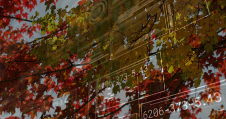 Showing autumn tree branches reflecting on shop window, showing ornate facade with numeric overlays....