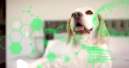 Gazing beagle-like dog lifting head on bed in softly lit bedroom, with neon green AR overlays....