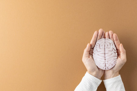 Composition of hands holding brain on brown background with copy space. Medical services, healthcare...