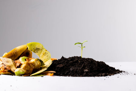 Organic fruit and vegetable waste for composting and seedling in dark soil, with copy space....
