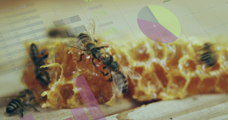 Crawling worker bees feeding on honeycomb at wooden board, showing pie chart and 71% 68% overlays....