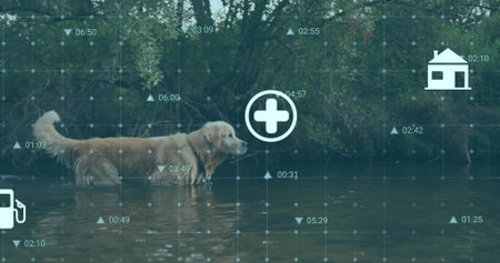Overlay appearing, golden retriever wading in river by shrub bank, showing med, house, pump icons....