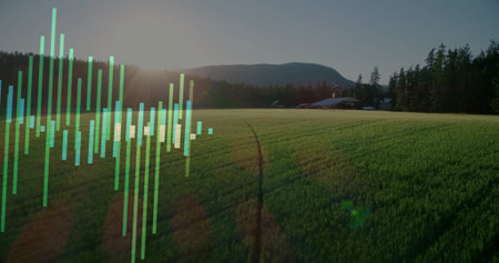 Showing green cereal field stretching in rural farm with tractor tracks, barn and waveform overlay. Farmland, agriculture, grain, horizon, dawn, landscape, rustic