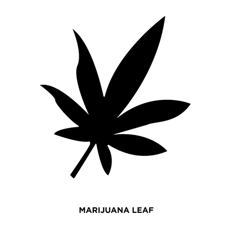 Marijuana leaf silhouette on white background, in black color.のイラスト素材