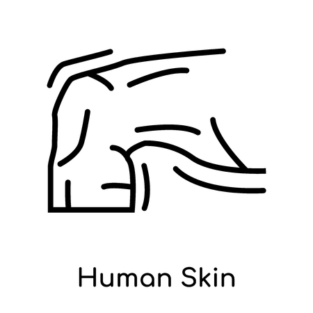 Human Skin icon isolated on white background for your web and mobile app design , vector black sign and symbol , outline thin elementのイラスト素材