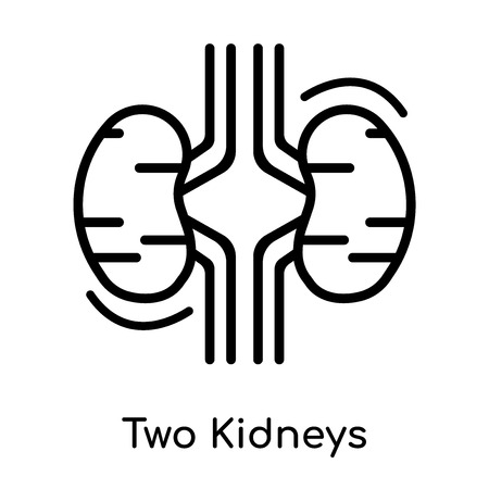 Two Kidneys icon isolated on white background for your web and mobile app design , vector black sign and symbol , outline thin elementのイラスト素材