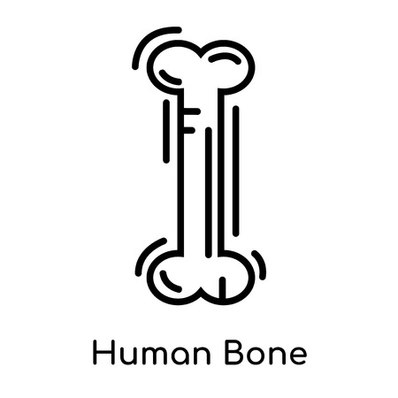 Human Bone icon isolated on white background for your web and mobile app design , vector black sign and symbol , outline thin elementのイラスト素材