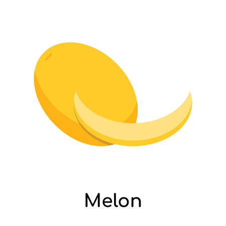Melon icon isolated on white background for your web and mobile app designのイラスト素材