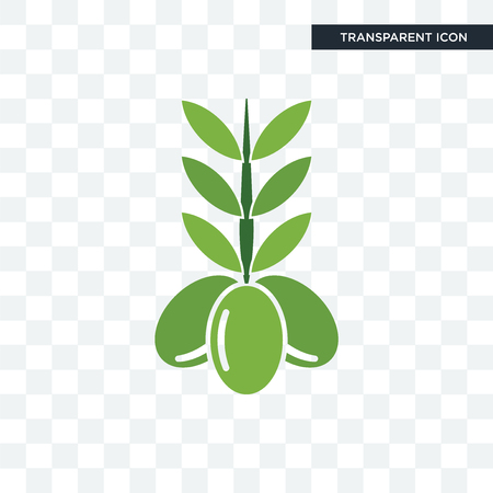 olive vector icon isolated on transparent background, olive logo conceptのイラスト素材