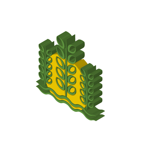 paddy isometric right top view 3D iconのイラスト素材