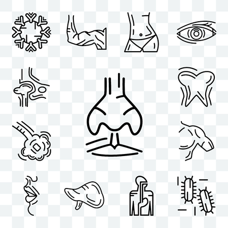 Set Of 13 transparent editable icons such as Human Nostril, Three Bacteria, Digestive System, Liver, Big Lips, Men Shoulder, Bronchioles, Tooth and Gums, Hip Bone, web ui icon packのイラスト素材