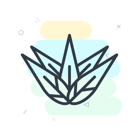 Agave icon vector isolated on white background for your web and mobile app designのイラスト素材