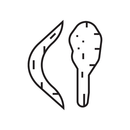 Boomerang icon vector isolated on white background for your web and mobile app design, Boomerang logo conceptのイラスト素材