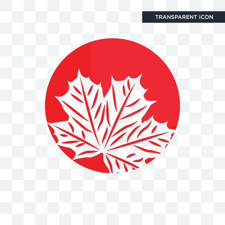 canadian leaf vector icon isolated on transparent backgroundのイラスト素材
