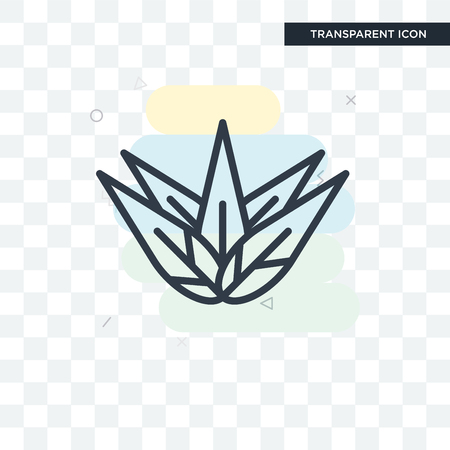 Agave vector icon isolated on transparent background, Agave logo conceptのイラスト素材