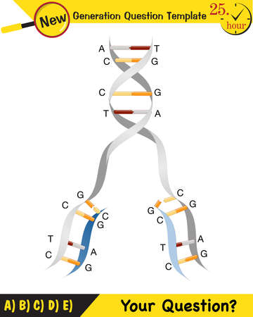 Biology, DNA helix, DNA replication, next generation question template, dumb physics figures, exam question, epsのイラスト素材