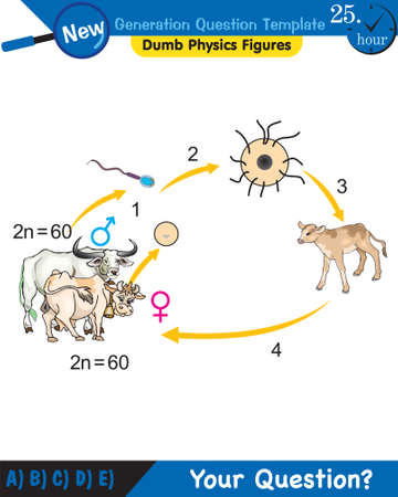 Biology, Heredity Combination, next generation question template, dumb physics figures, exam question, epsのイラスト素材