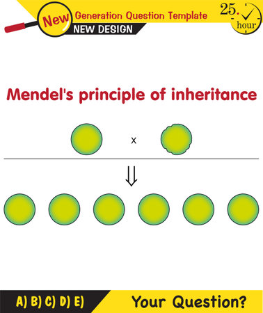 Biology, Heredity Combination, Mendelian genetics, heredity, Peas experiment, Genotype, Generation Inheritance, dominant, recessive gene, round, next generation question templateのイラスト素材