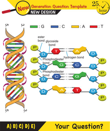 Biology - basic components of living things, sugar, phosphate, fat, protein, vitamin, DNA, RNA, bonds, next generation question template, exam question, epsのイラスト素材