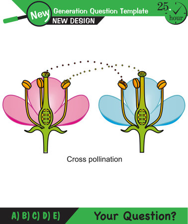 Biology - Lecture notes, plant physiology, flower, seed, root, stem, leaf, next generation question template, epsのイラスト素材