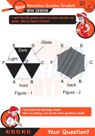 Math, Geometric shapes, mathematics, polygon, field calculation, field problems, exam question, for teachers, editable, eps, two sisters speech bubbleのイラスト素材