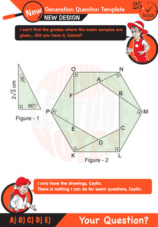Math, Geometric shapes, mathematics, polygon, field calculation, field problems, exam question, for teachers, editable, eps, two sisters speech bubbleのイラスト素材