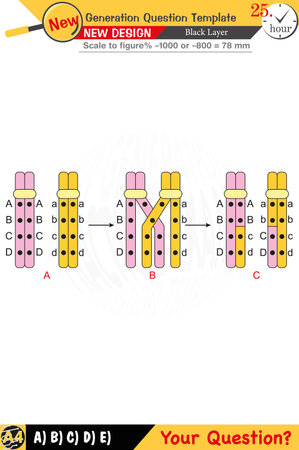 Physics diagram showing physical concepts, exam question template with numerical and verbal elementsのイラスト素材