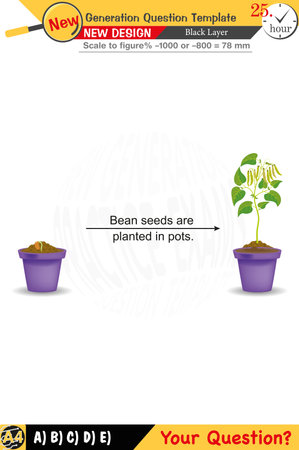 2026, Physics, Physical concepts, High school, middle school, exam question template, numerical lessons, verbal lessons, Next generation problems, for teachers, editableのイラスト素材