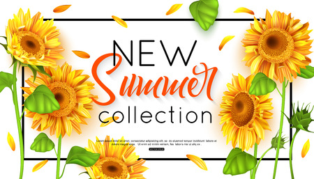New summer collection with sunflower for banner. Vector illustration.のイラスト素材
