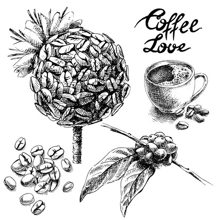 set of coffee beans and leaves and cup in graphic style, hand-drawn vector illustration.のイラスト素材