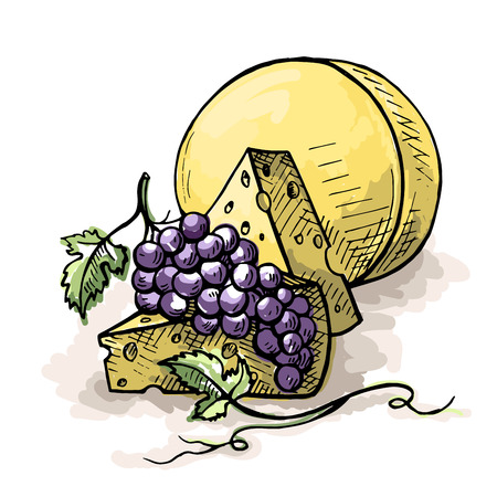 watercolor bunch of grapes and cheese isolated on white background in graphic style hand-drawn vector illustrationのイラスト素材