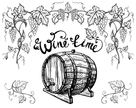 Grape branches and wine barrel isolated on white background in graphic style hand-drawn vector illustrationのイラスト素材