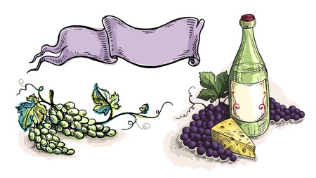 Watercolor wine grapes ribbon template design in graphic style hand-drawn vector illustration.のイラスト素材