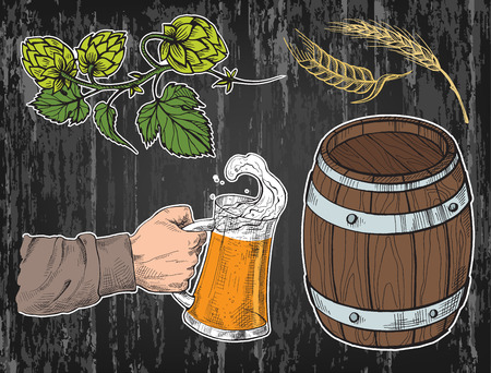 Watercolor hand holding with beer mug, barrel, hops, ears in graphic style vector illustrationのイラスト素材