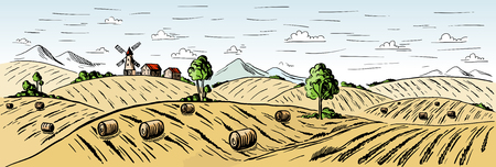 Colorful Rural landscape field wheat in graphical style. Hand drawn and converted to vector Illustration.のイラスト素材