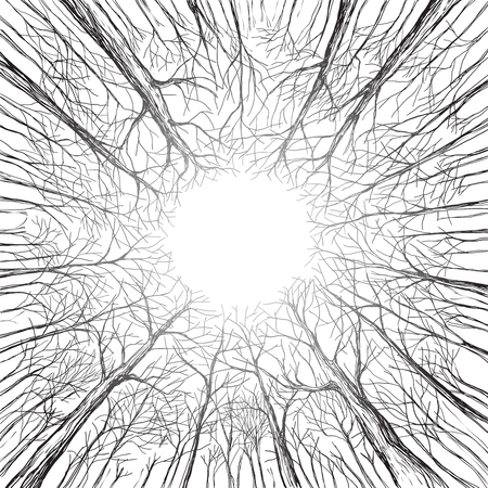 Trees in a forest look up winter autumn Hand drawn and converted to vector Illustration.のイラスト素材