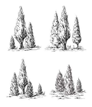 Set of hand-drawn cypress. Sketch design.のイラスト素材