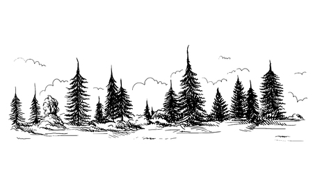 panoramic view of the forest from coniferous trees hand drawn vector illustration Sketch design.のイラスト素材
