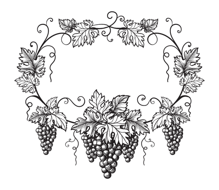 frame of grapes monochrome sketch. Hand drawn grape bunches.のイラスト素材
