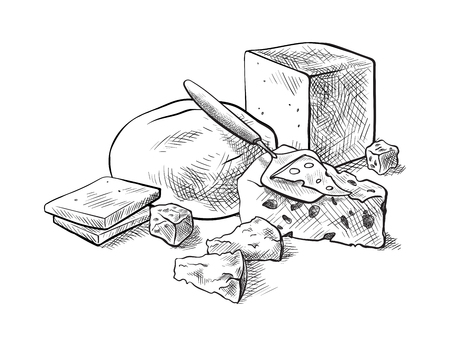 cheese making various types of cheese set of vector sketches on a white backgroundのイラスト素材