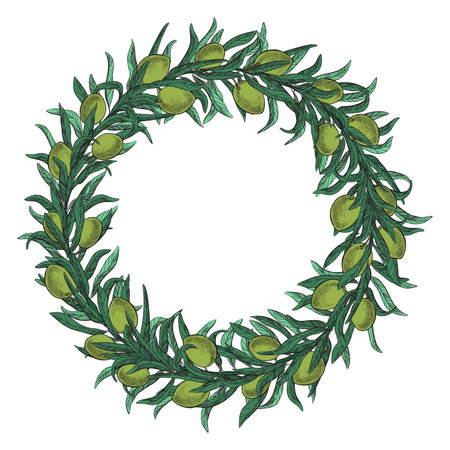 Olive wreath is painted by hand in vintage style.のイラスト素材