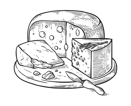 Cheese hand drawn set engraving. vector illustration.のイラスト素材