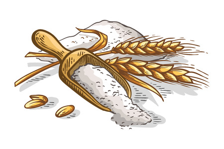 colorfull wooden scoop of fresh ears of wheat flour on white background vector illustrationのイラスト素材