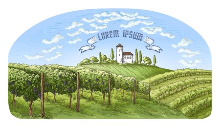 colorfull vine plantation hills, trees, clouds, and ancient castle on the horizon vector illustrationの写真素材