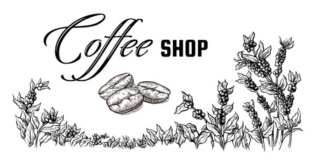 coffee plantation landscape and coffee bean macro in graphic style hand-drawn vector illustration.のイラスト素材