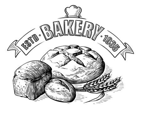 Bread vector hand drawn set illustration. Other types of wheat, flour fresh bread. Gluten food bakery engraved collectionのイラスト素材